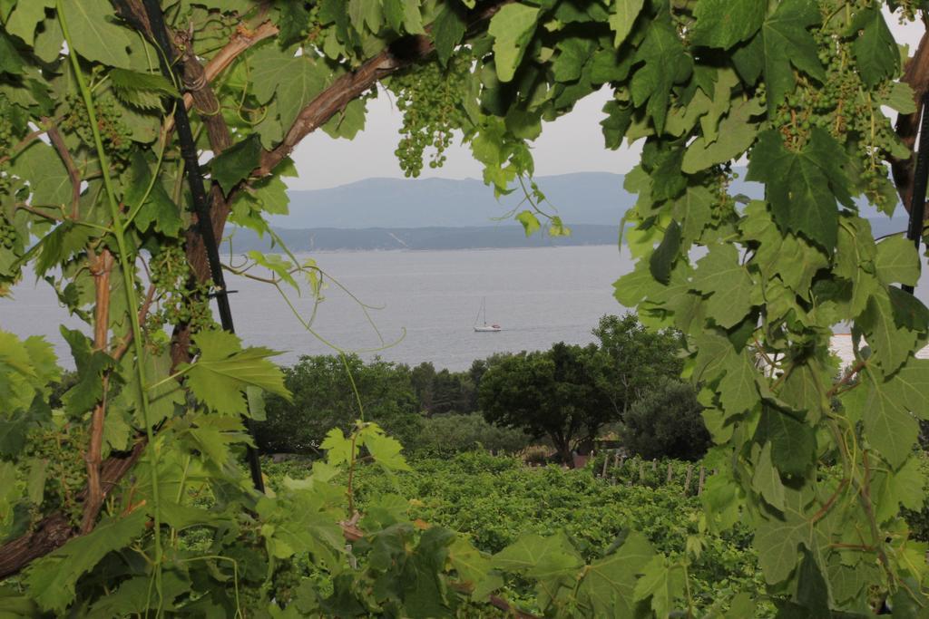 Holiday Home Vineyard House Bol Room photo