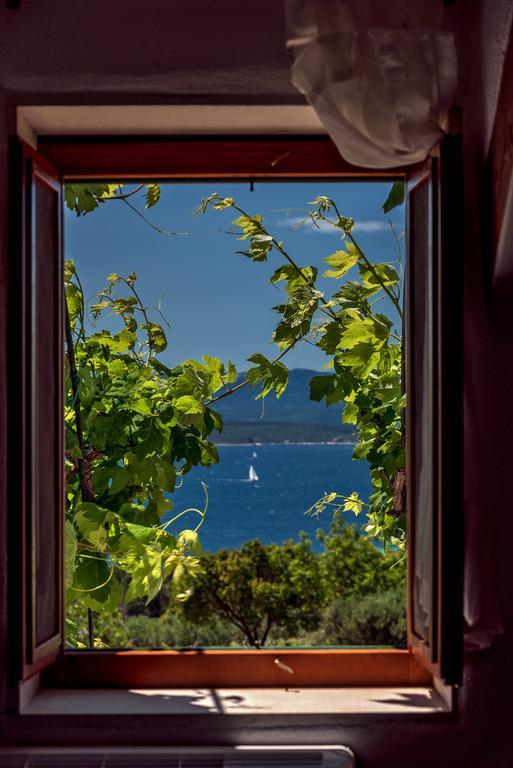 Holiday Home Vineyard House Bol Exterior photo