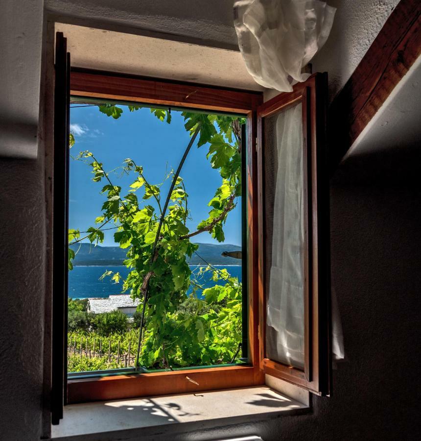 Holiday Home Vineyard House Bol Exterior photo